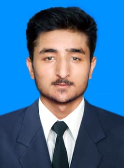 SEO Writer