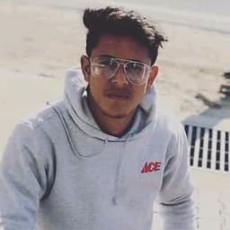 Shopify Developer