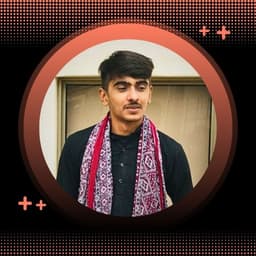 Shopify Developer