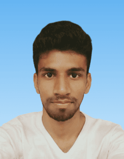 Web Developer