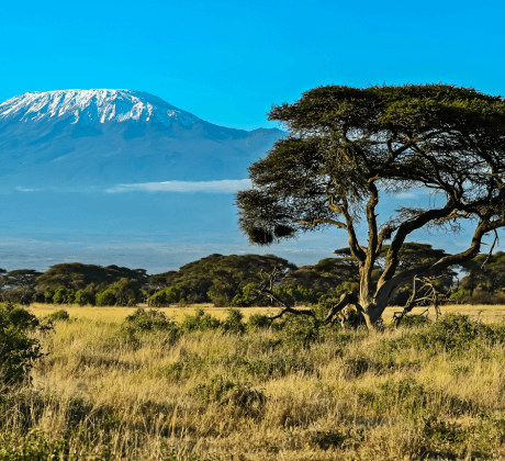 Hire Web Developers in Kenya