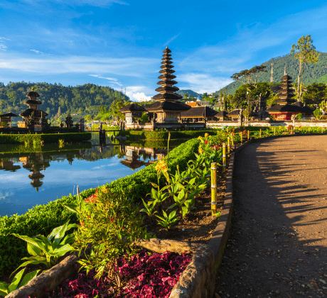 Hire Web Developers in Indonesia