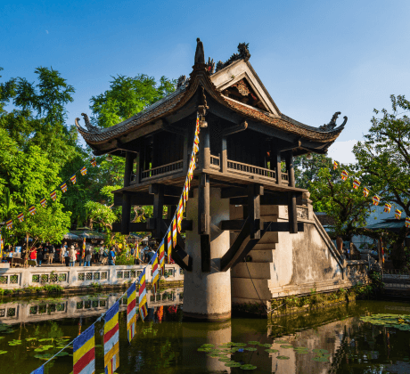 Hire Web Developers in Vietnam