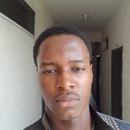Software Developer